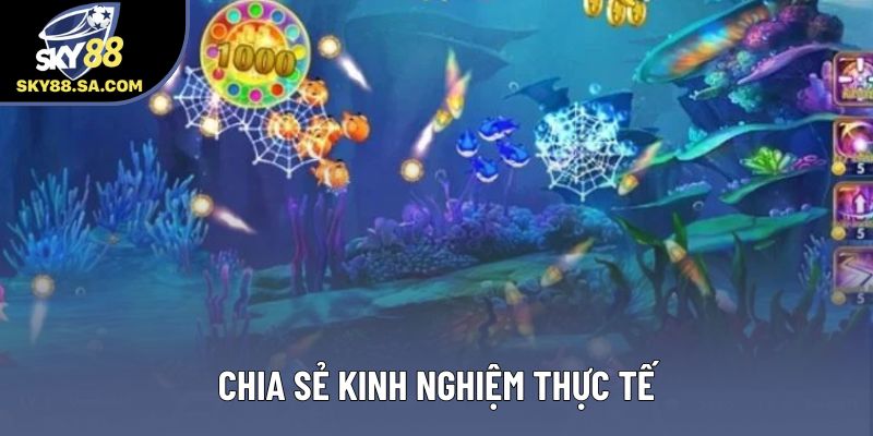 Chia sẻ kinh nghiệm thực tế